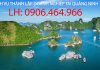 dịch vụ thành lập doanh nghiệp tại quản ninh